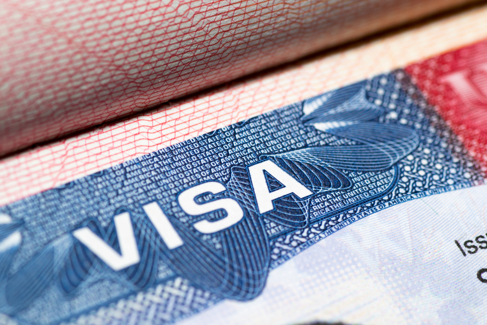 Visa,Stamp,Travel,Passport,Immigration,Macro,Emigration